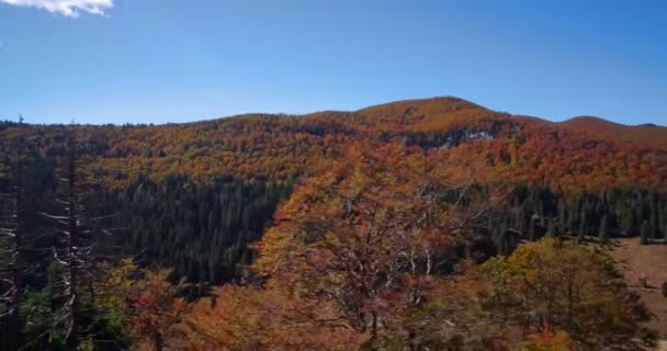 航空写真、美しい秋の風景、ベレビト山地, クロアチア - 傾斜と安定化バージョン. — ストック動画