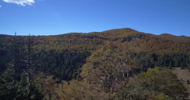 Antenne, mooie herfst landschap, Velebit, Kroatië - Native materiaal, direct uit de cam. — Stockvideo