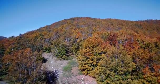 Aerial, Beautiful Autumn Colors In Velebit, Croatia - Graded and stabilized version. — Stock Video