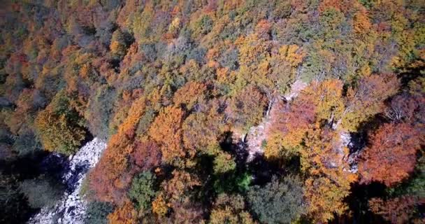 Antenne, mooie herfst kleuren In Velebit, Kroatië - Graded en gestabiliseerde versie. — Stockvideo