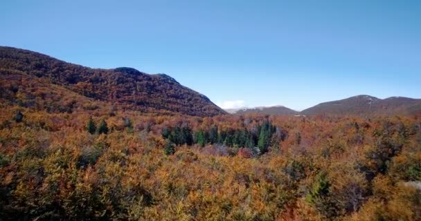 空中、美しい秋は、ベレビト山地, クロアチア - 傾斜で安定したバージョンでの色します。. — ストック動画