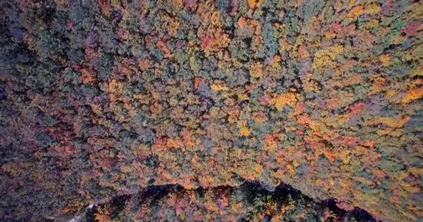 Aerial, Hermosos colores otoñales en Velebit, Croacia - Versión graduada y estabilizada . — Vídeos de Stock