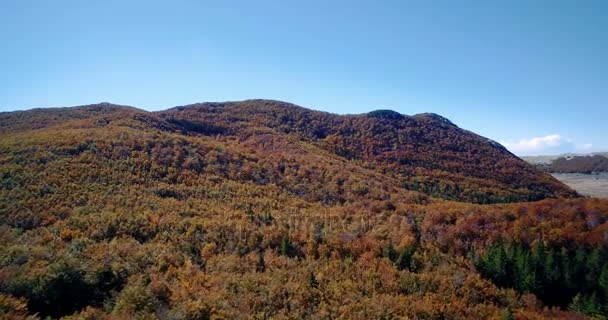 Εναέρια, όμορφο φθινόπωρο χρώματα σε Velebit, Κροατία - βαθμολογείται και σταθεροποιημένη έκδοση. — Αρχείο Βίντεο
