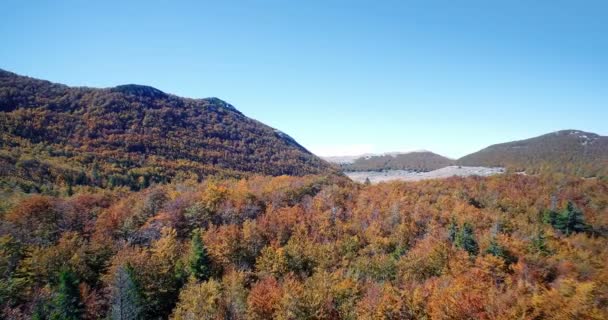 Antenne, mooie herfst kleuren In Velebit, Kroatië - Graded en gestabiliseerde versie. — Stockvideo