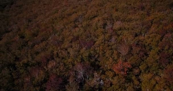 Antenne, vliegen langs Kroatische kust-lijn - Graded en gestabiliseerde versie. — Stockvideo