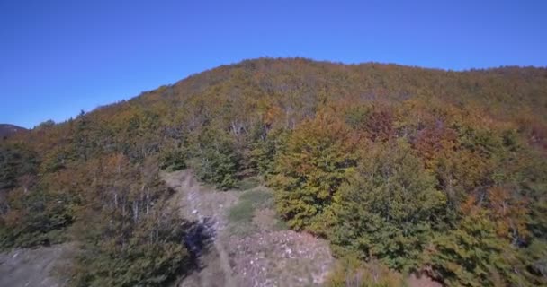 Aerea, bellissimi colori autunnali a Velebit, Croazia - Materiale nativo . — Video Stock