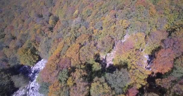Aériennes, Belles Couleurs D'automne à Velebit, Croatie - Native Material . — Video