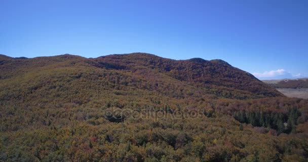 Luchtfoto, mooie herfst kleuren In Velebit, Kroatië - Native materiaal. — Stockvideo