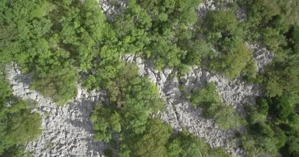 空中，沿着克罗地亚海岸-线-本机材料飞行. — 图库视频影像
