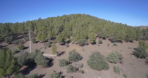 Aerial, Landscape At Suk El Had, Morocco — Stock Video