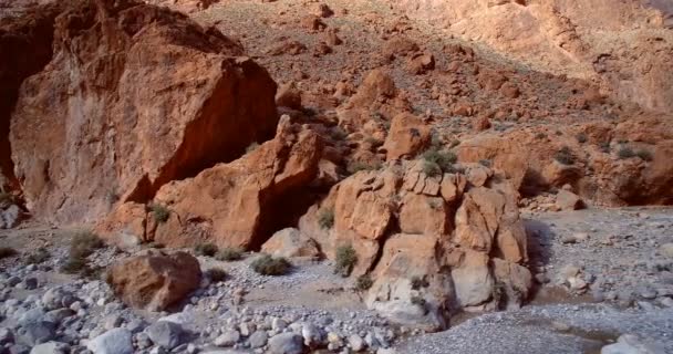 Aerial, Gorges Du Todra, Todra Gorge, Morocco — Stock Video
