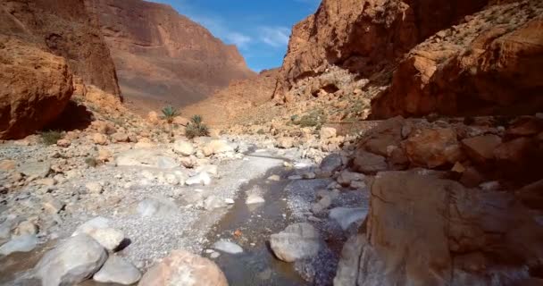 Antenne, Gorges du Todra, Todra-Schlucht, Marokko — Stockvideo