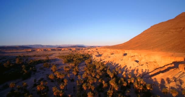 Εναέρια, πετώντας πάνω από το Palm Oasis κατά μήκος βουνό στο Tissint, Μαρόκο — Αρχείο Βίντεο