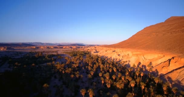 Aérea, Volando sobre Palm Oasis a lo largo de las montañas en Tissint, Marruecos — Vídeo de stock