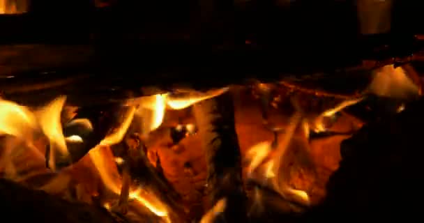 Όμορφη Campfire, Closeup φωτιά — Αρχείο Βίντεο