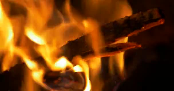 Schönes Lagerfeuer, Lagerfeuer Nahaufnahme — Stockvideo