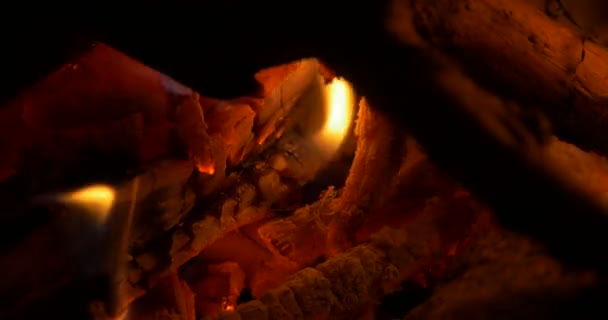 Όμορφη Campfire, Closeup φωτιά — Αρχείο Βίντεο
