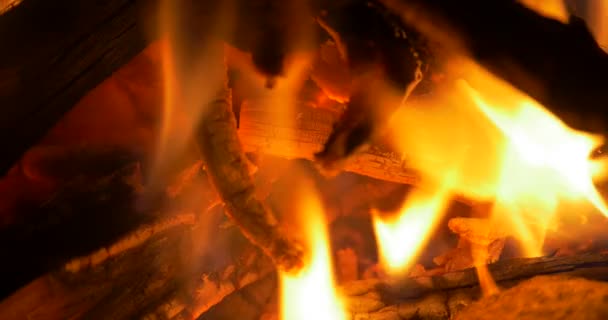 Όμορφη Campfire, Closeup φωτιά — Αρχείο Βίντεο