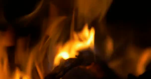 美しいキャンプファイヤー、焚き火のクローズ アップ — ストック動画