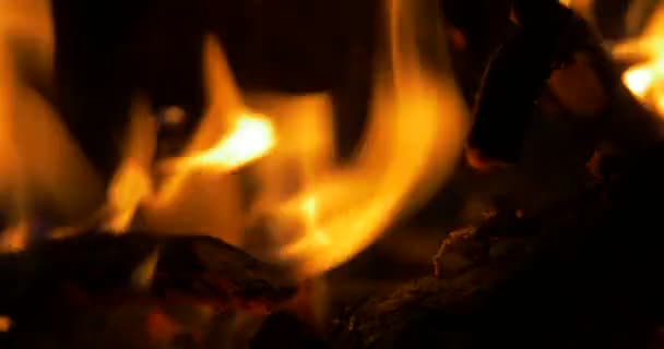 Όμορφη Campfire, Closeup φωτιά — Αρχείο Βίντεο