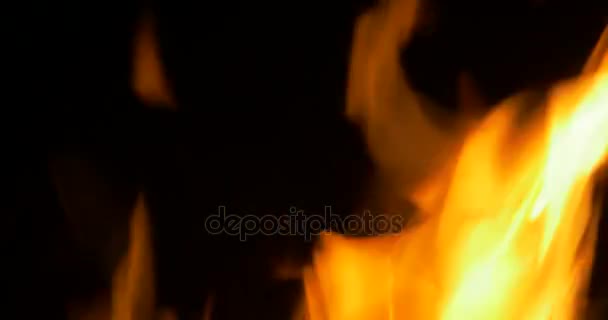 Krásný ohniště, táborák Closeup — Stock video