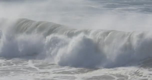 Vackra och enorma vågor, Atlanten - Native Material — Stockvideo