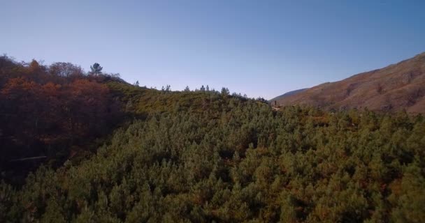 Vue Aérienne, Vol Au-dessus De Rio Homem, Portugal — Video