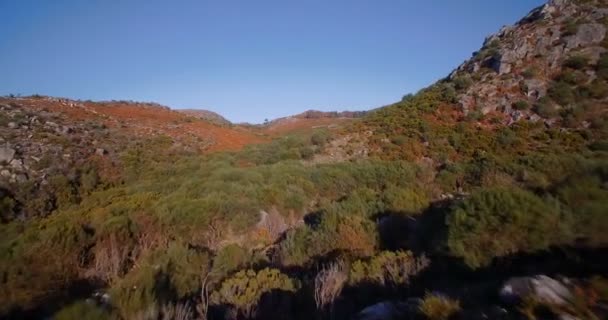 Antenne, fliegen in der bergigen Landschaft des parque nacional peneda-geres, portugal — Stockvideo