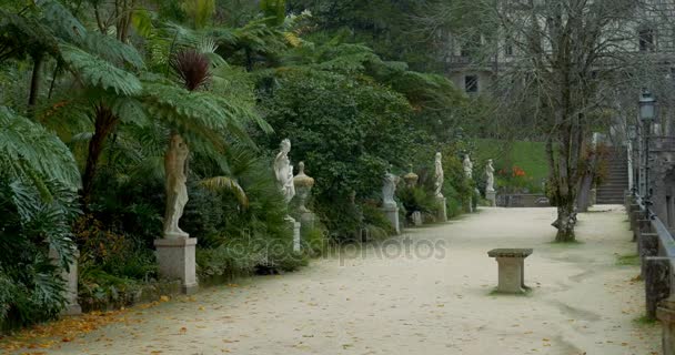 Verbazingwekkende Quinta Da Regaleira en tuinen, Portugal — Stockvideo