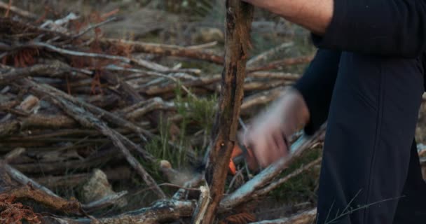 Bir kamp ateşi için bir hayatta kalma bıçakla adam Batoning dalları — Stok video