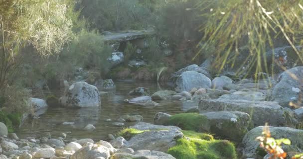 Cursus van de idyllische Stream sluit Up met vliegen, Portugal — Stockvideo