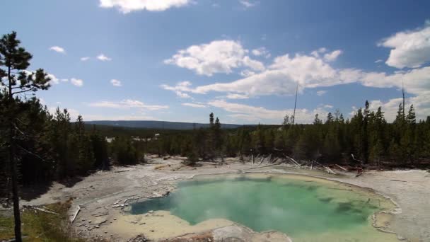 Mammoet warmwaterbronnen, Yellowstone National Park, Verenigde Staten — Stockvideo