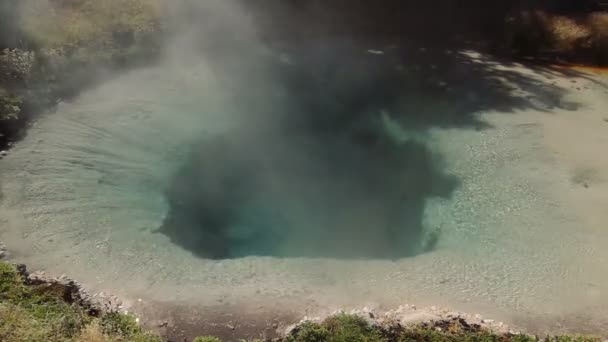 Mammut-Thermalquellen, Yellowstone Nationalpark, Vereinigte Staaten — Stockvideo