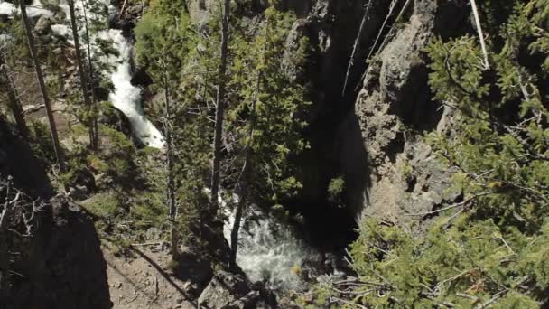 Kepler Cascades, Yellowstone Milli Parkı, Amerika Birleşik Devletleri — Stok video