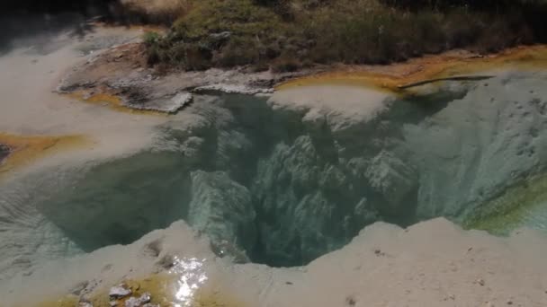 Mamut Kaplıcalar, Yellowstone Milli Parkı, Amerika Birleşik Devletleri — Stok video