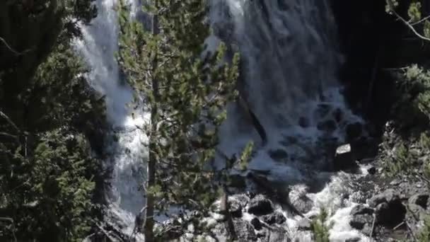 Kepler Cascades, Yellowstone National Park, Ηνωμένες Πολιτείες — Αρχείο Βίντεο