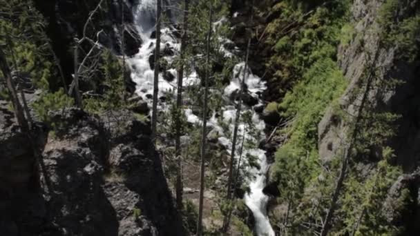 Kepler Cascades, Yellowstone National Park, Ηνωμένες Πολιτείες — Αρχείο Βίντεο