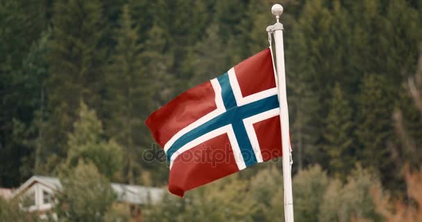 Flagge Norwegens - Filmstil — Stockvideo