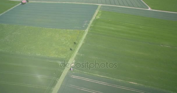 Aérea, vuelo sobre tierras de cultivo alemanas, sur de Alemania — Vídeos de Stock