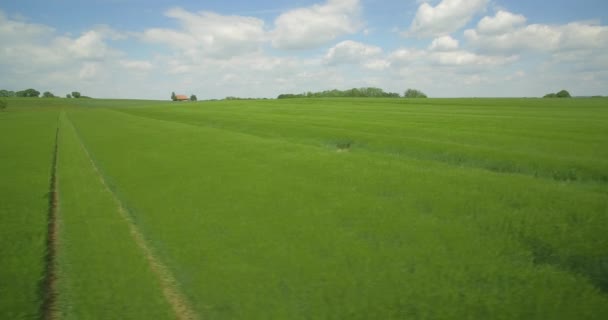 Aérea, vuelo sobre tierras de cultivo alemanas, sur de Alemania — Vídeos de Stock