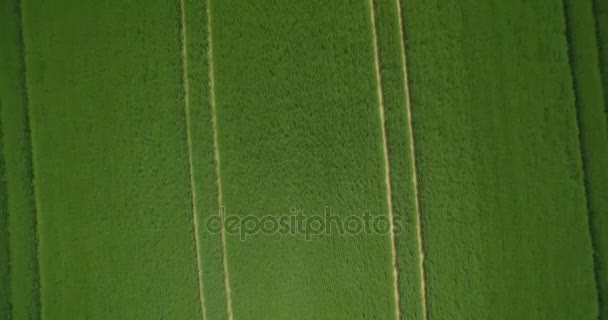 空中，缓慢的垂直飞行以上德国农田 — 图库视频影像