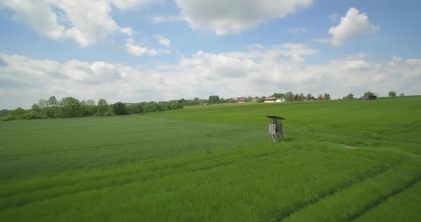 Повітряні, висока швидкість польоту над висока Грас і сільськогосподарських угідь, Німеччина — стокове відео