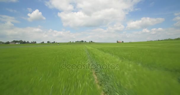 Εναέρια, υψηλή ταχύτητα πτήσης πάνω από υψηλή γκρα και χωράφια, Γερμανία — Αρχείο Βίντεο