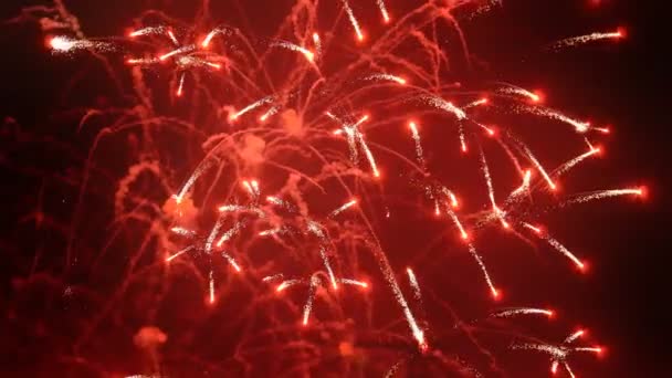 Fuochi d'artificio variopinti colorati — Video Stock