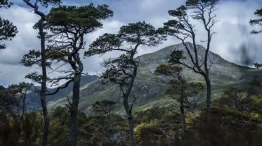 Glen Affric, İskoçya, zaman atlamalı
