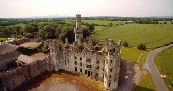 Aerial, Ducketts Grove And Gardens, County Carlow, Irlande — Video