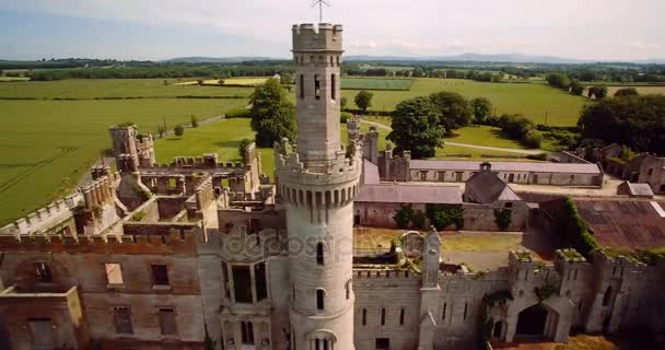 Aerial, Ducketts Grove And Gardens, Contea di Carlow, Irlanda — Video Stock