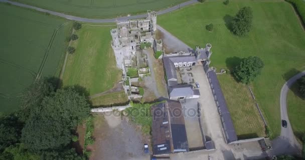 Aerial, Ducketts Grove And Gardens, Condado de Carlow, Irlanda — Vídeo de stock