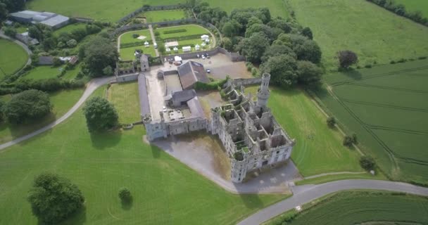 Antenne, Entenhain und Gärten, Grafschaft Carlow, Irland — Stockvideo