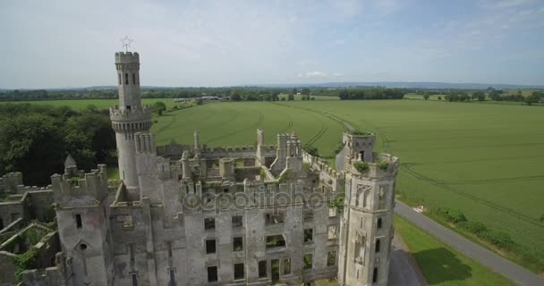 Antenne, Ducketts Grove en tuinen, County Carlow, Ireland — Stockvideo